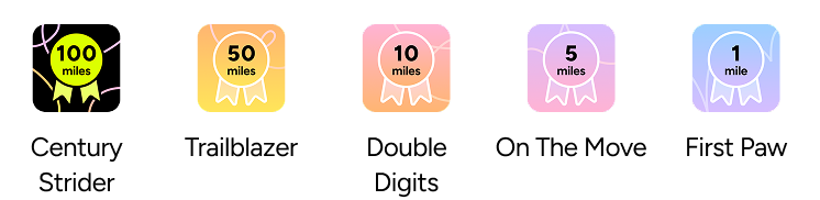 Lev — every walk, more rewarding